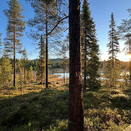 Pikkukelo Ruka